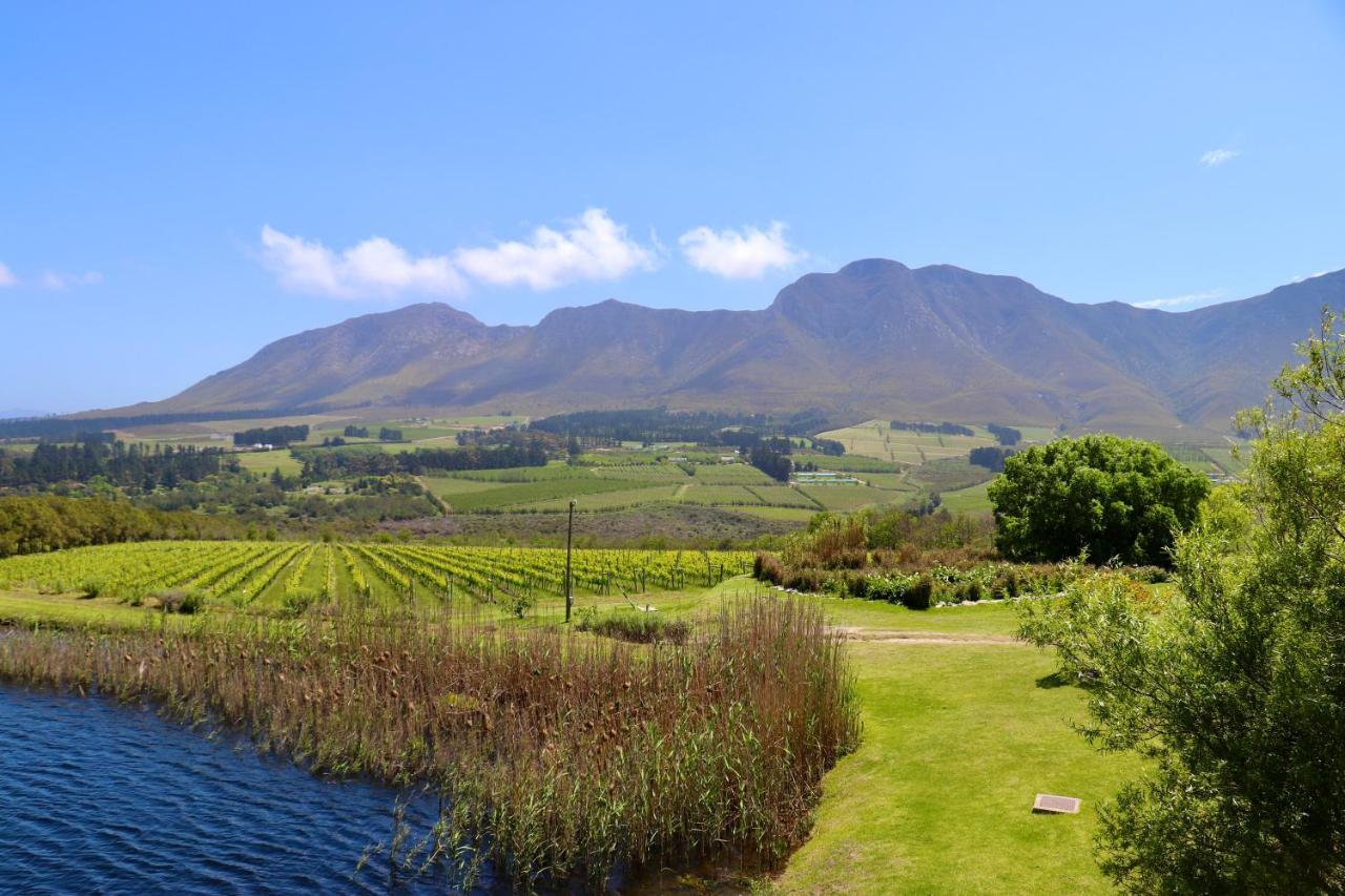 Carole'S Cottage Hermanus Exterior photo
